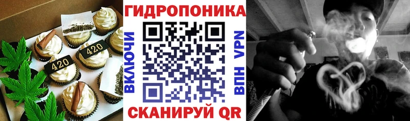 купить наркоту  Краснослободск  Canna-Cookies конопля 