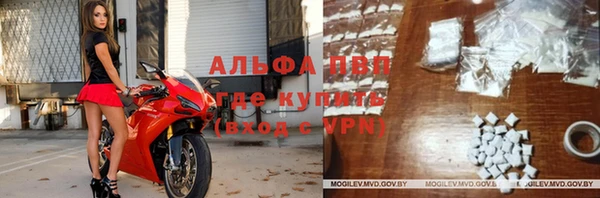 спиды Алзамай