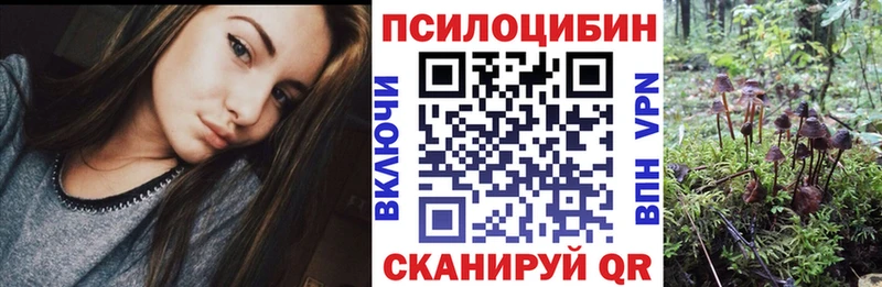 Псилоцибиновые грибы Magic Shrooms  hydra онион  Краснослободск 