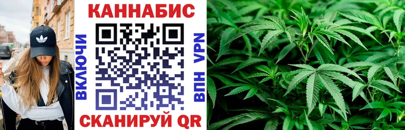 Конопля план  мега ССЫЛКА  Краснослободск  магазин продажи  